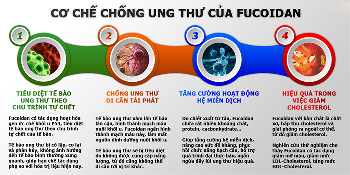 Super Fucoidan Nhập Khẩu chính hãng Nhật Bản. Hộp 30 gói