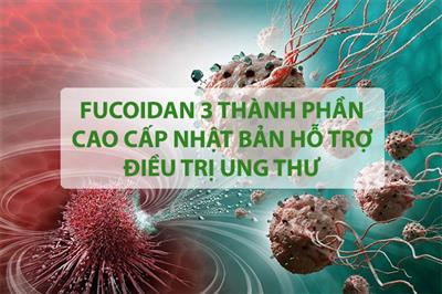 Fucoidan 3 thành phần Nhật Bản hỗ trợ điều trị ung thư